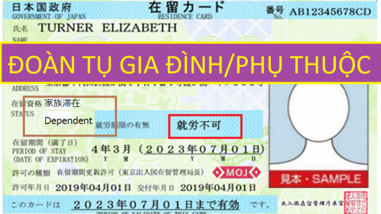 Xuất khẩu lao động Nhật Bản và Visa đoàn tụ gia đình/phụ thuộc
