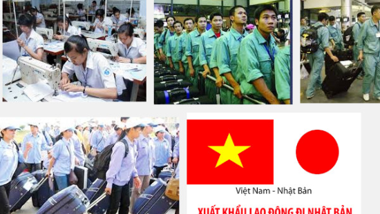 Quy trình đăng ký xuất khẩu lao động Củ Chi – Hướng dẫn chi tiết