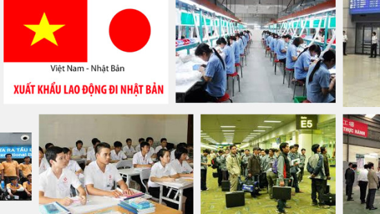 Tư Vấn Và Đào Tạo Nhân Lực Quốc Tế: Lợi Ích Đối Với Người Lao Động Việt Nam