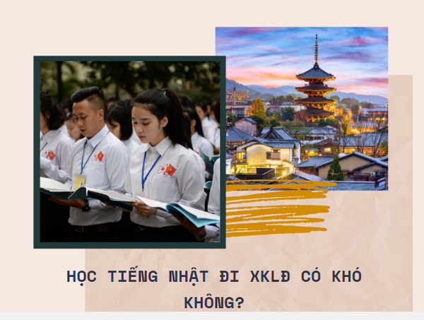 Xuất khẩu lao động quận 12