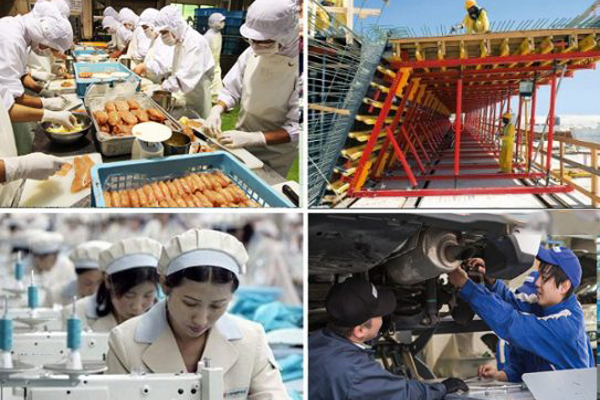 Ngành nghề xuất khẩu lao động Nhật Bản