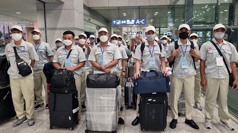  Đào Tạo Nhân Lực Xuất Khẩu Lao Động