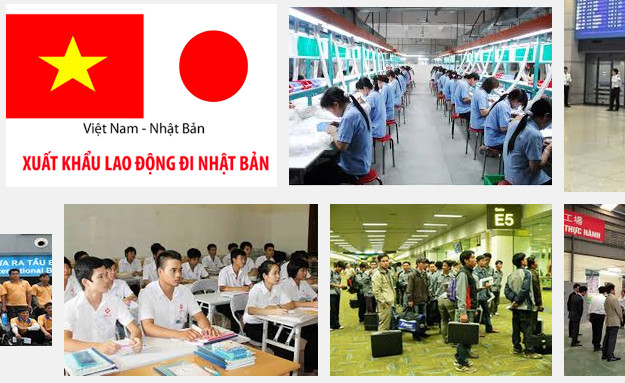 đào tạo nhân lực quốc tế